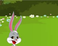 Bunny kiss online