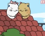 Cats in love online